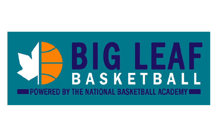 BigLeafLogo2022-23_846x524wq