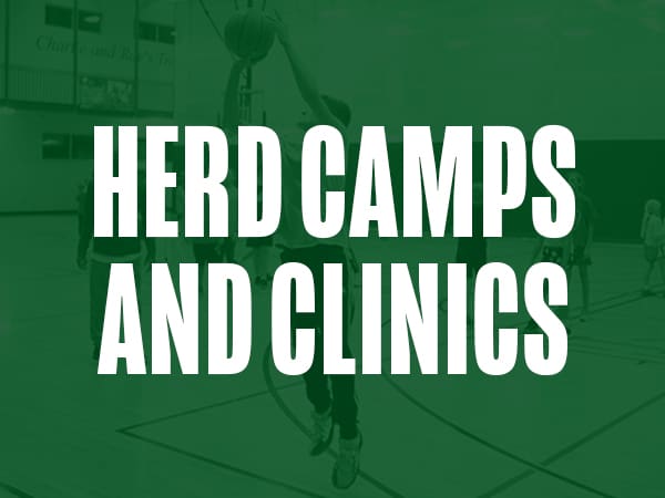 tNBA_Website_2526Updates_HerdClinics_WebsiteTile_600x450