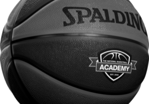 Basketball-ball-Side-TNBAMaster-CORPORATE-SPALDING_400x404